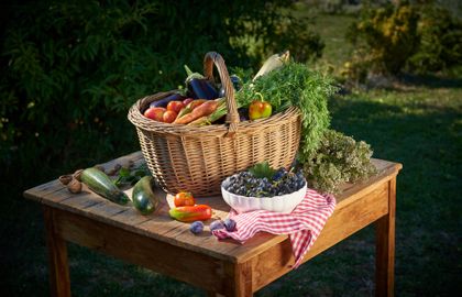 Slovenia - the green table of Europe