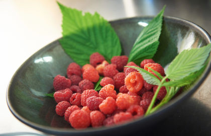 Taste Slovenian food products at SIAL