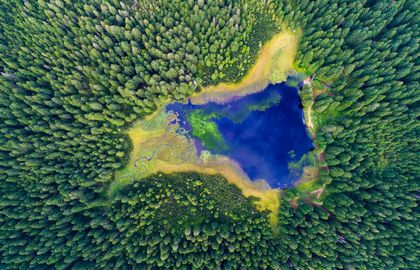 Climate and biodiversity in the Slovenian green and circular economy