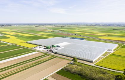 Discover the potential in agriculture